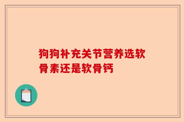狗狗补充关节营养选软骨素还是软骨钙