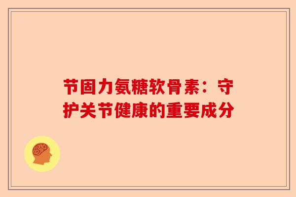 节固力氨糖软骨素：守护关节健康的重要成分