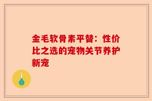 金毛软骨素平替：性价比之选的宠物关节养护新宠