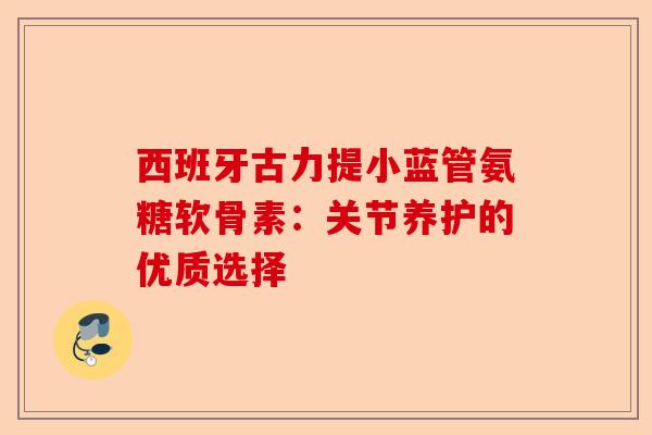 西班牙古力提小蓝管氨糖软骨素：关节养护的优质选择