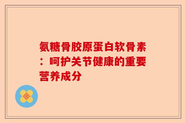 氨糖骨胶原蛋白软骨素：呵护关节健康的重要营养成分