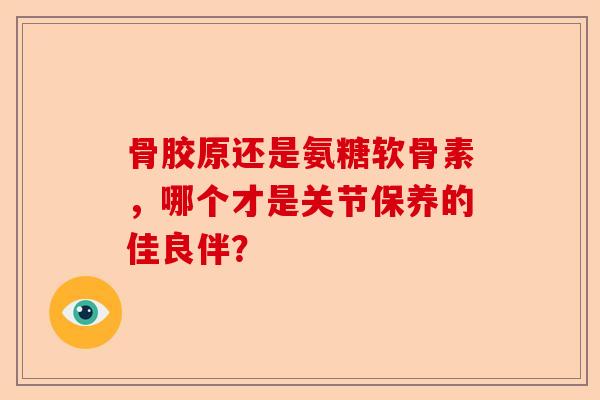 骨胶原还是氨糖软骨素，哪个才是关节保养的佳良伴？