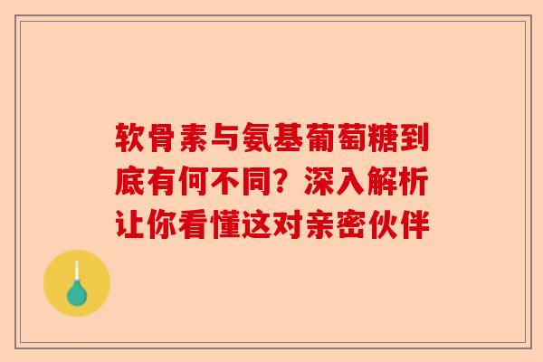 软骨素与氨基葡萄糖到底有何不同？深入解析让你看懂这对亲密伙伴