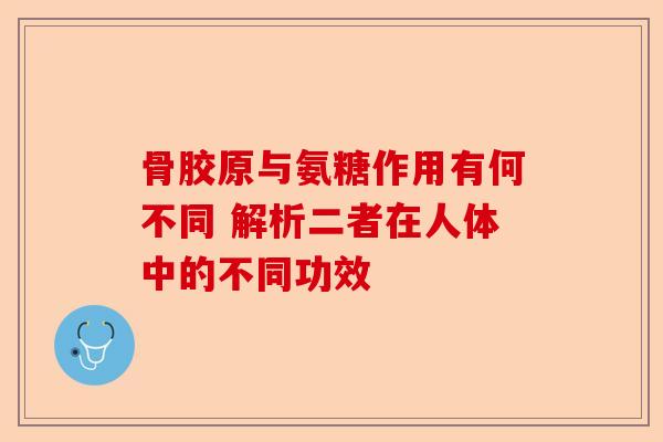 骨胶原与氨糖作用有何不同 解析二者在人体中的不同功效
