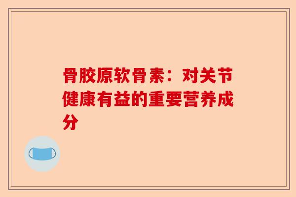 骨胶原软骨素：对关节健康有益的重要营养成分