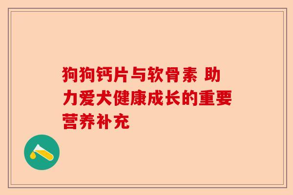 狗狗钙片与软骨素 助力爱犬健康成长的重要营养补充