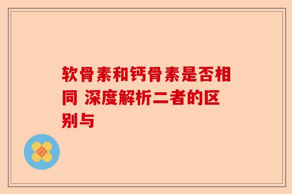 软骨素和钙骨素是否相同 深度解析二者的区别与