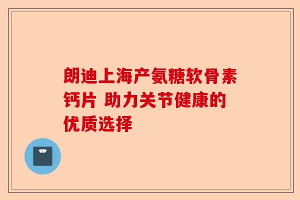 朗迪上海产氨糖软骨素钙片 助力关节健康的优质选择