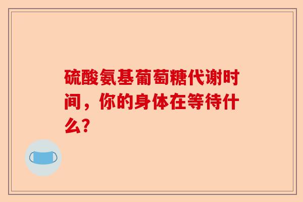 硫酸氨基葡萄糖代谢时间，你的身体在等待什么？
